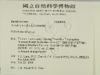 登錄號:F0028581藏品圖，第2張