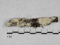 登錄號:F0028581藏品圖，第1張