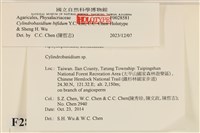 登錄號:F0028581藏品圖，第3張