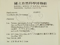 登錄號:F0028590藏品圖，第2張