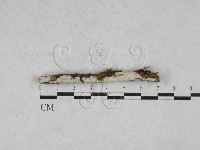 登錄號:F0028590藏品圖，第1張