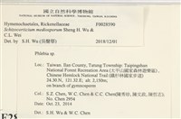 登錄號:F0028590藏品圖，第3張