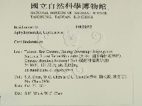 登錄號:F0028592藏品圖，第2張