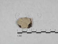 登錄號:F0028592藏品圖，第1張