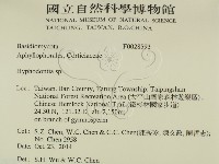 絲齒菌屬藏品圖，第2張