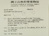 登錄號:F0028594藏品圖，第2張