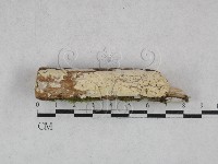 登錄號:F0028597藏品圖，第1張