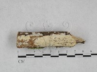 登錄號:F0028597藏品圖，第3張