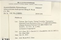 登錄號:F0028597藏品圖，第4張