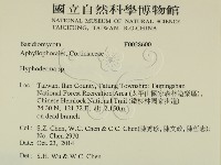 絲皮菌屬藏品圖，第2張