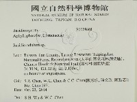 登錄號:F0028601藏品圖，第2張