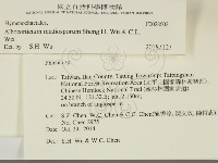 登錄號:F0028602藏品圖，第2張