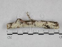 登錄號:F0028602藏品圖，第1張