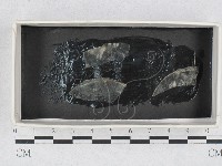 登錄號:F0028604藏品圖，第1張