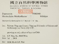 登錄號:F0028605藏品圖，第2張