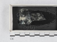 登錄號:F0028605藏品圖，第1張