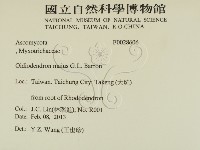 登錄號:F0028606藏品圖，第2張