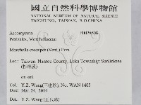 登錄號:F0028608藏品圖，第2張