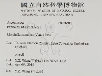 登錄號:F0028609藏品圖，第2張