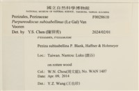 登錄號:F0028610藏品圖，第3張