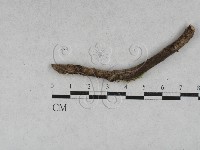 登錄號:F0028611藏品圖，第3張