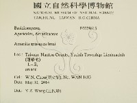 登錄號:F0028615藏品圖，第2張