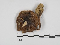 登錄號:F0028615藏品圖，第3張