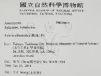 登錄號:F0028616藏品圖，第2張