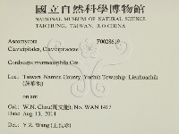 登錄號:F0028619藏品圖，第2張
