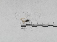 登錄號:F0028619藏品圖，第1張