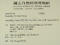 登錄號:F0028620藏品圖，第2張