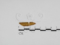 登錄號:F0028620藏品圖，第1張