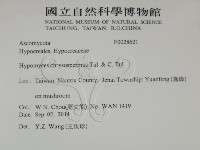 登錄號:F0028621藏品圖，第2張