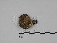 登錄號:F0028621藏品圖，第1張