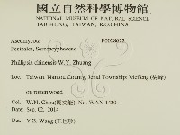 登錄號:F0028622藏品圖，第2張