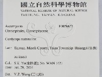 登錄號:F0028623藏品圖，第2張