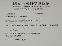 登錄號:F0028624藏品圖，第2張