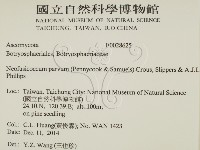 登錄號:F0028625藏品圖，第2張