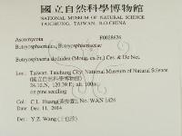 登錄號:F0028626藏品圖，第2張