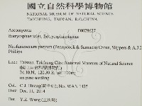 登錄號:F0028627藏品圖，第2張