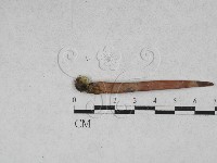 登錄號:F0028627藏品圖，第1張