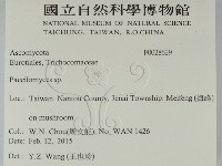 登錄號:F0028629藏品圖，第2張