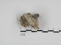 登錄號:F0028629藏品圖，第3張