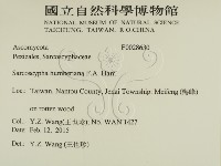 登錄號:F0028630藏品圖，第2張