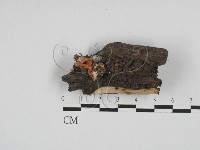 登錄號:F0028630藏品圖，第1張