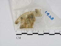 登錄號:F0028631藏品圖，第1張