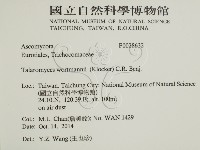 登錄號:F0028632藏品圖，第2張