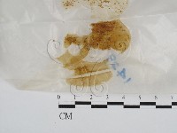 登錄號:F0028632藏品圖，第1張