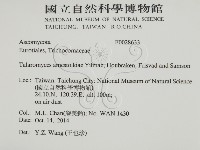 登錄號:F0028633藏品圖，第2張