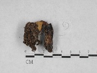 登錄號:F0028635藏品圖，第3張
